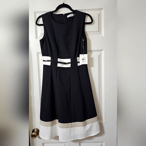 NWT Calvin Klein Women's Fit and Flare Color-Block with Belted  Waist